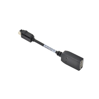 HP Mini DisplayPort to DisplayPort Video Signal Adapter Converter (703216-001)