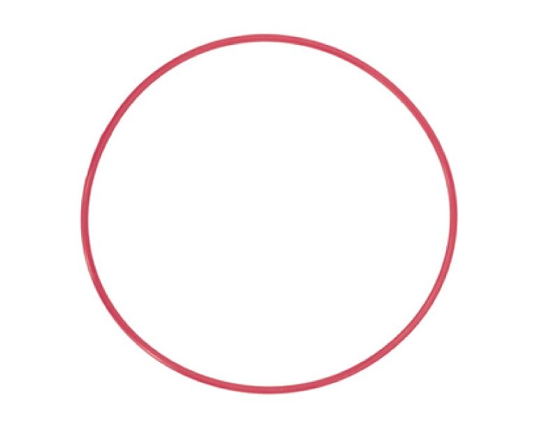 Olympus POL-EP03 O-Ring for PT-EP10//PT-EP06L/PT-EP05L/PT-EP03 Underwater