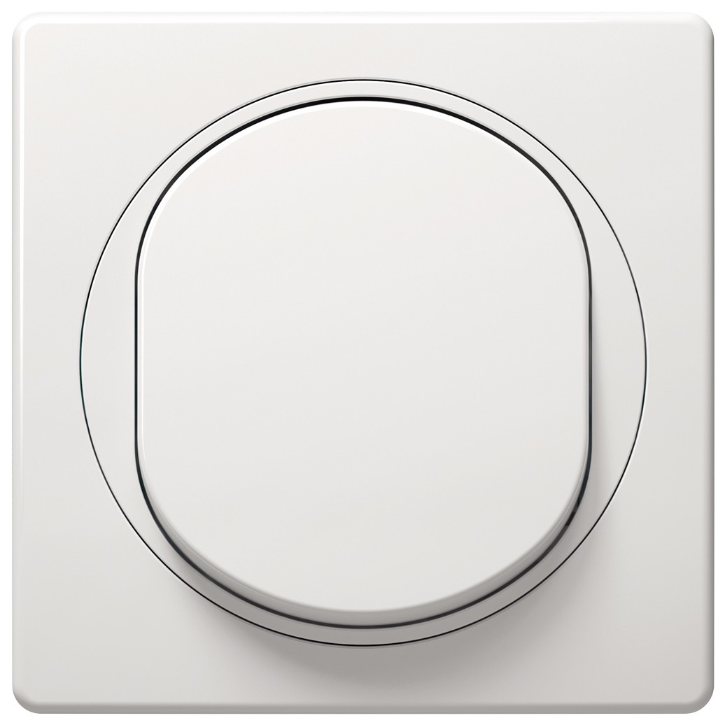 EON Single-pole switch