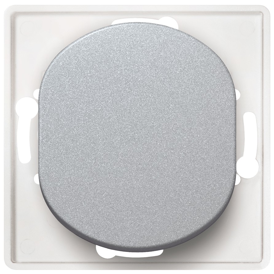 EON E6052.S Double pole switch without cover frame silver Eon